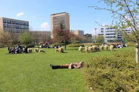 université paris nanterre