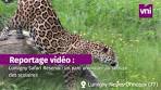 parcs des felins