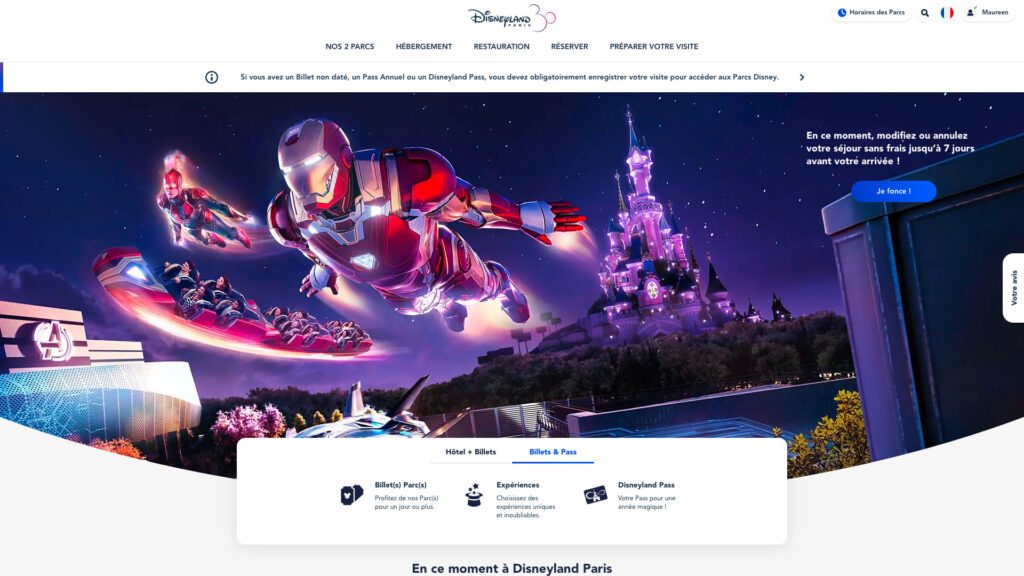 entrées disneyland paris