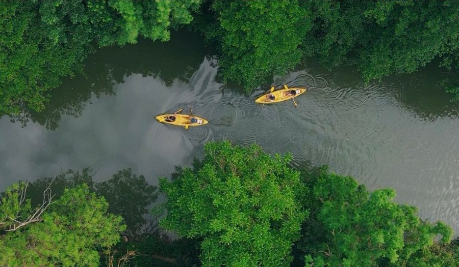 que faire dans le 77