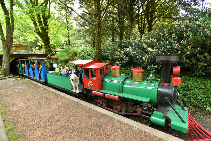 parc des félins train